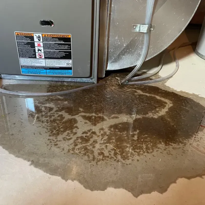 Appliance Leak Cleanup in Parke County, IN